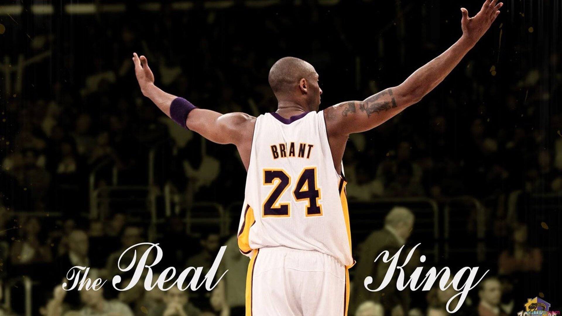 维尼修斯爆发破局,阿尔及利亚式战术如何成功压制马赛?